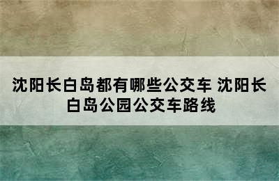 沈阳长白岛都有哪些公交车 沈阳长白岛公园公交车路线